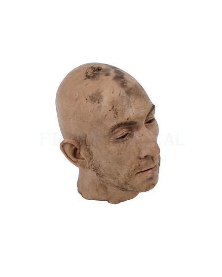 Severed Synthetic Head